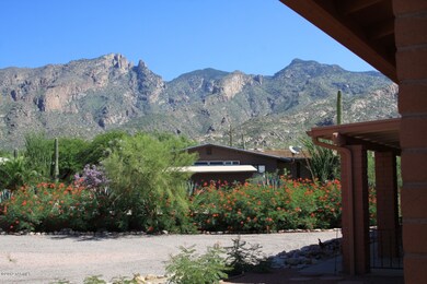 View to north from front yard