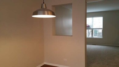 1105 Village Ctr Pkwy unit 3, Aurora, IL 60506 - photo 3