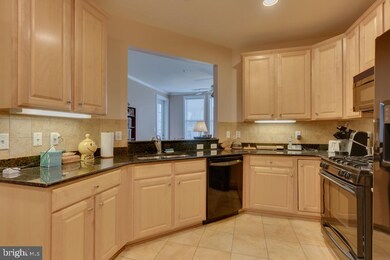 Cameron Square unit 228, Alexandria, VA 22304 - photo 6