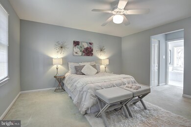 8108 W Point Dr, Springfield, VA 22153 - photo 7