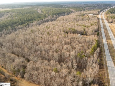 0 State Road S-44-409, Union, SC 29379 - photo 3