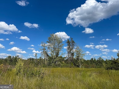 0 U S 84 unit 3 10563296, Homerville, GA 31634 - photo 2