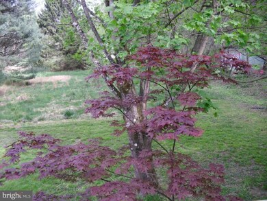 78 Kilgore Rd, Great Cacapon, WV 25422 - photo 7