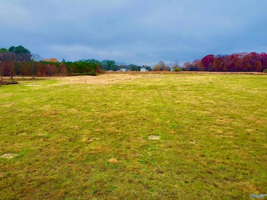 Tract 4 County Road 89, Anderson, AL 35610 - photo 4
