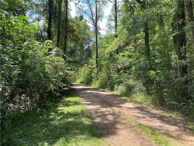 2791 Highway 10 Other, Greensburg, LA 70441 - photo 2