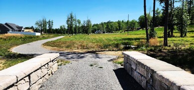trail1