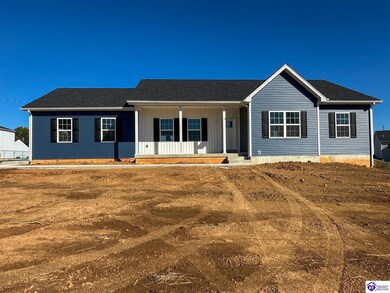 171 Gordon Dr, Ekron, KY 40117 - photo 3