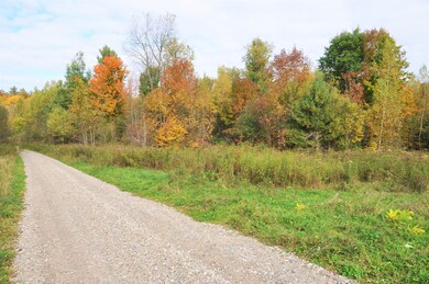 Bingo Drive Extension unit Pork Creek Edwards N, Talcville, NY 13635 - photo 7