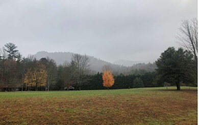 LT 44 Mountain Laurel Rd, Towns, GA 30546 - photo 4