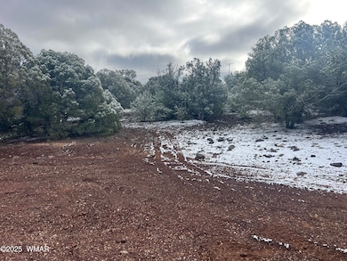 1847 Rocky Bottom Place, Show Low, AZ 85901 - photo 5