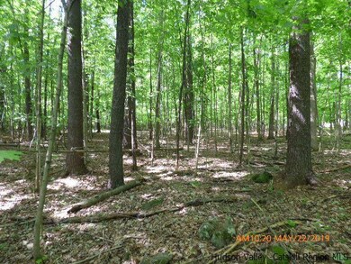 2022 Berme Rd, Kerhonkson, NY 12446 - photo 5