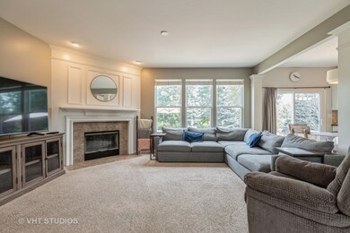 6 Steiner Ct, Algonquin, IL 60102 - photo 6