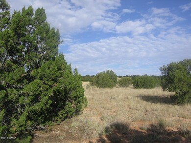 Joan 14 acres  Mulvhill 015