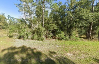 0 Maryland Ave unit 25640315, Hawthorne, FL 32640 - photo 6