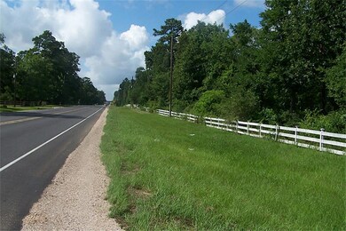 Lot 3 Farm To Market 1486, Magnolia, TX 77354 - photo 2