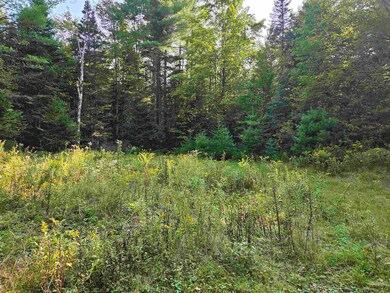 1476 Profile Rd, Franconia, NH 03580 - photo 4