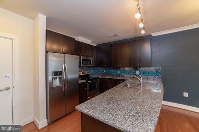 915 N Patrick St unit 306, Alexandria, VA 22314 - photo 5