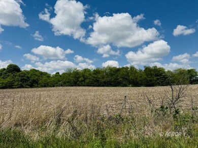 Wooded area