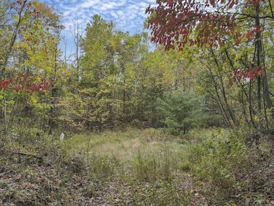 4-web-or-mls-DJI_0989