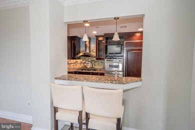 Corinthian Condominium unit PH19, Bala Cynwyd, PA 19004 - photo 6