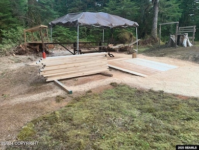 L3 B3 Thoms Pl Legal Address Only, Wrangell, AK 99929 - photo 3