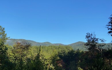 Additional View