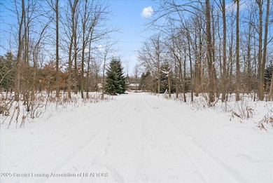 4365 Mack Rd, Howell, MI 48855 - photo 6