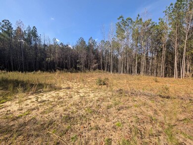 0 County Rd 51 unit A, Greensboro, AL 36033 - photo 6