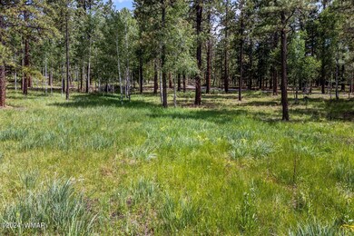 7 N1063, Greer, AZ 85927 - photo 3