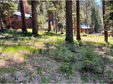 0 Forest Dell Ave unit 622201546, Wallowalake, OR 97846 - photo 2