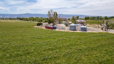 1410 19 Rd, Fruita, CO 81521 - photo 4