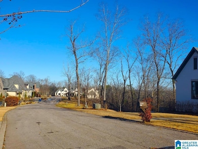 5009 Altamont Rd S unit 10, Birmingham, AL 35222 - photo 5