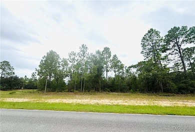 4021 W Malaluka Cir, Dunnellon, FL 34433 - photo 3