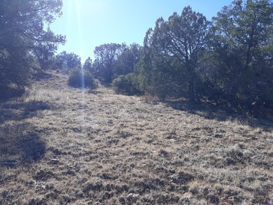 Lot 68b Juniperwood Ranch, Ash Fork, AZ 86320 - photo 6