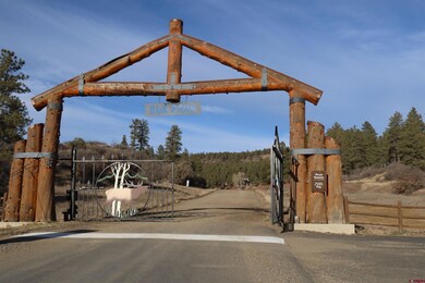 966 Starling Cir, Pagosa Springs, CO 81147 - photo 4