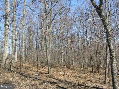 0 Grimaldi Way unit 1000568917, Gerrardstown, WV 25420 - photo 2