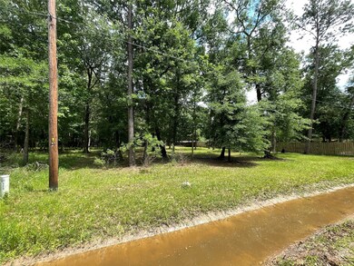 0 County Road 3750 N, Cleveland, TX 77328 - photo 3