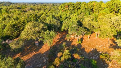 TBD County Road 15, Hallettsville, TX 77964 - photo 5