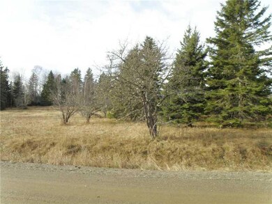 Land/Lot. Looking into the lot from...