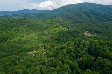 0 Friendly Ln unit 624782, Stanley, VA 22851 - photo 5