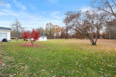 321 Fern St, South Amherst, OH 44001 - photo 4