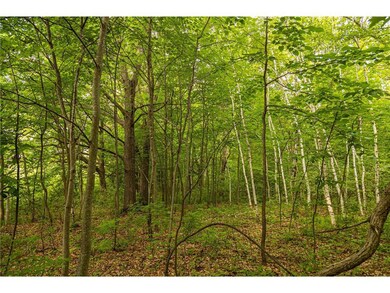 Block 1, Lot 5 Mid-River Estates Estates, Pine City, MN 55063 - photo 7