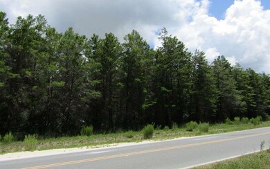 LOT 9 Seameadows Dr, Perry, FL 32348 - photo 3