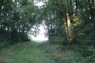 29 Ac Sunrise Rd, Rutland, WI 53575 - photo 2