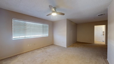 3008 Thunder Rd, Alamogordo, NM 88310 - photo 5