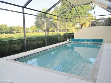 Salt Water Pool in the Morning