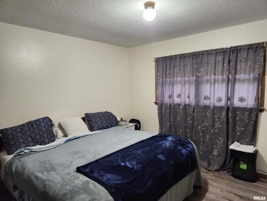 1214 Sherwood Eddy Dr, Jacksonville, IL 62650 - photo 4