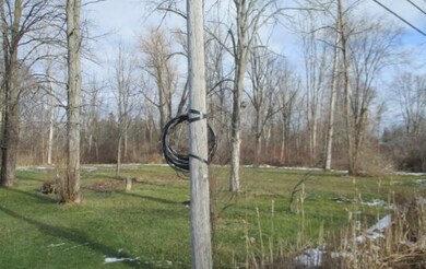 ELECTIRCAL POLE