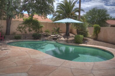 Pool 1