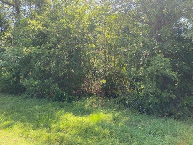 TBD A47 Dublin Cir, Gordonville, TX 76245 - photo 6